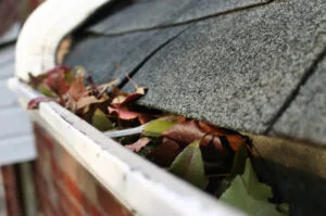 Kitchener Waterloo Gutter Cleaning Services - Gutters Full Of Leaves